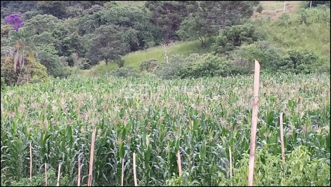 Foto 5 de Fazenda / Haras com 8 quartos à venda, 24m2 em Maria Da Fe - MG
