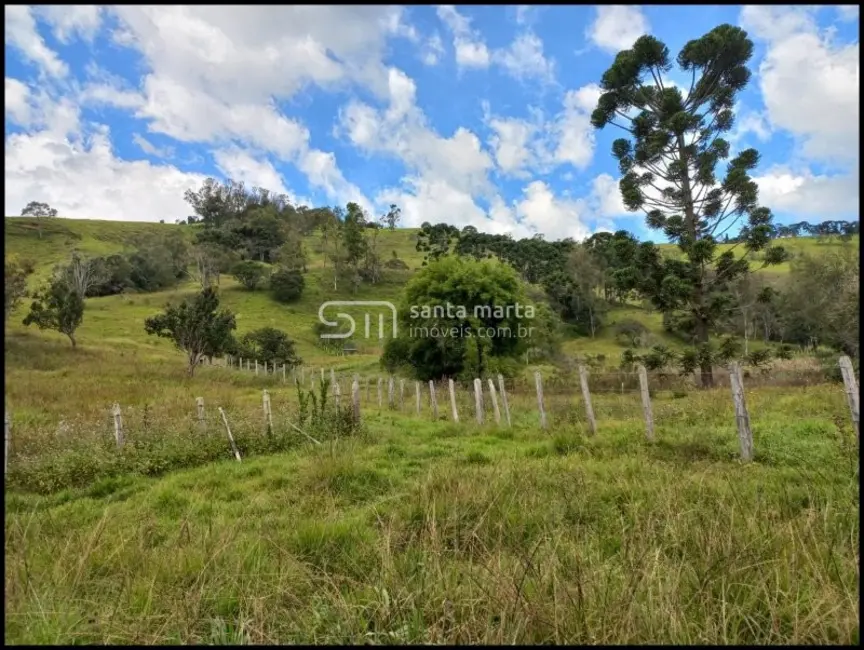 Foto 1 de Fazenda / Haras à venda, 183m2 em Marmelopolis - MG