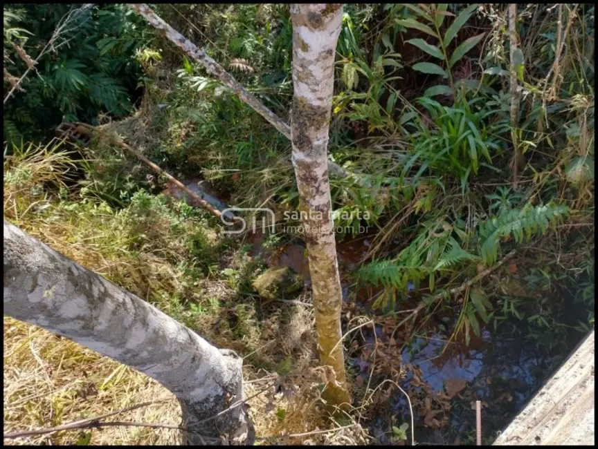 Fazenda / Haras com 3 quartos à venda, 24m2 em Silveiras - SP - imagem 6 Foto 6 de Fazenda / Haras com 3 quartos à venda, 24m2 em Silveiras - SP