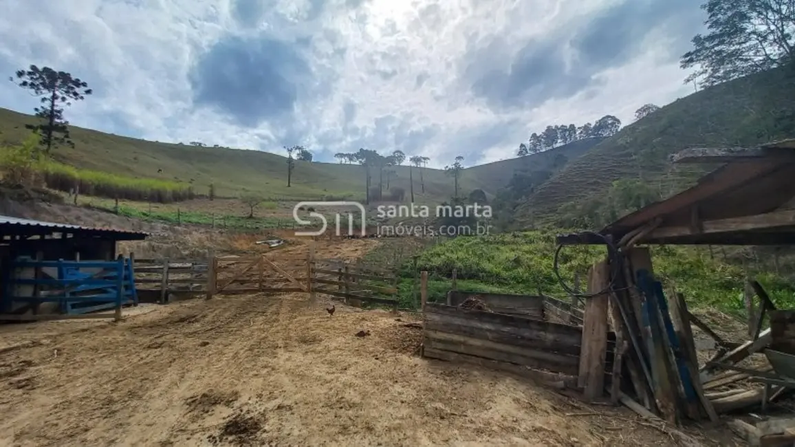 Foto 3 de Fazenda / Haras com 3 quartos à venda em Silveiras - SP