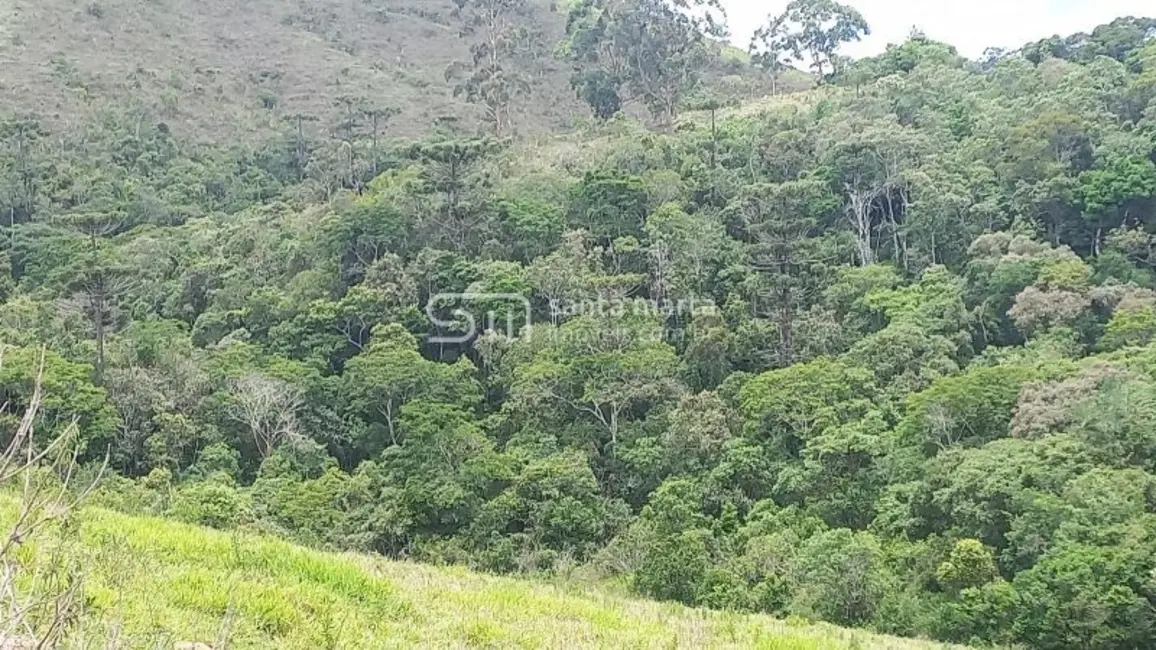 Foto 9 de Fazenda / Haras à venda, 36m2 em Silveiras - SP