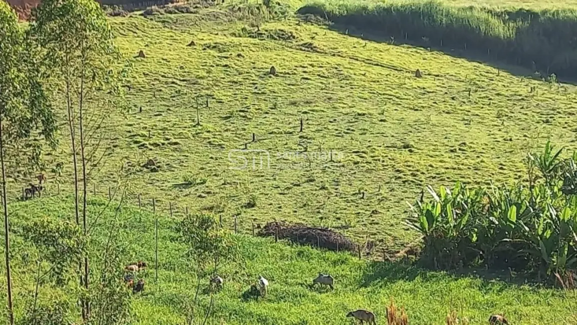 Foto 6 de Fazenda / Haras com 2 quartos à venda, 280m2 em Lavrinhas - SP