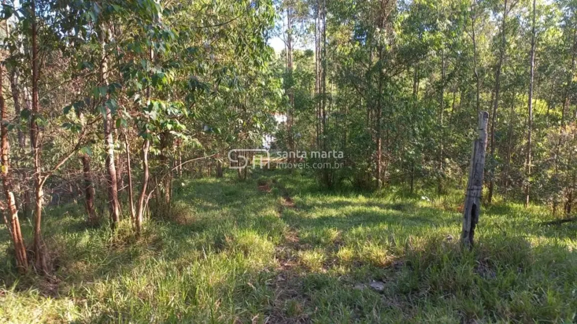 Foto 4 de Fazenda / Haras com 2 quartos à venda, 280m2 em Lavrinhas - SP