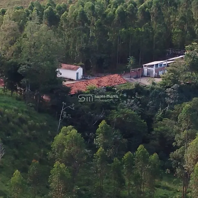 Foto 2 de Fazenda / Haras com 2 quartos à venda, 280m2 em Lavrinhas - SP
