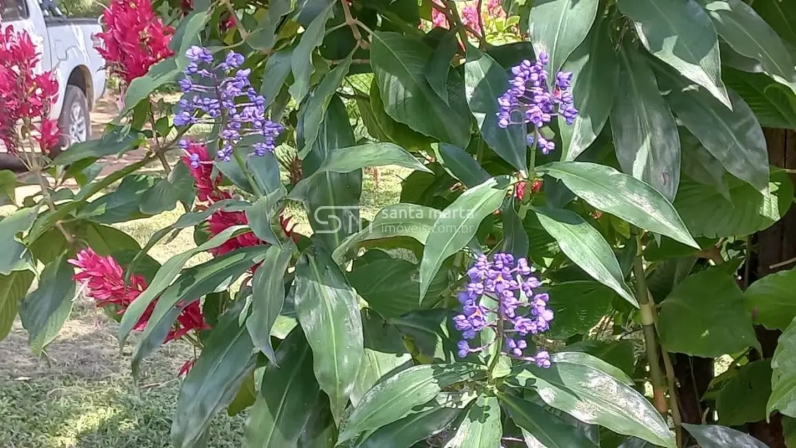 Fazenda / Haras com 4 quartos à venda, 280m2 em Lorena - SP - imagem 5 Foto 5 de Fazenda / Haras com 4 quartos à venda, 280m2 em Lorena - SP