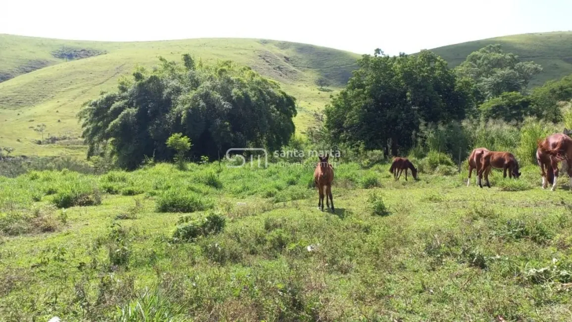 Foto 1 de Fazenda / Haras com 4 quartos à venda, 150m2 em Lorena - SP