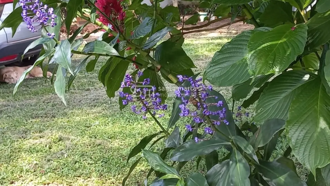 Fazenda / Haras com 4 quartos à venda, 280m2 em Lorena - SP - imagem 3 Foto 3 de Fazenda / Haras com 4 quartos à venda, 280m2 em Lorena - SP