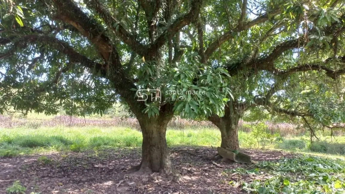 Foto 2 de Fazenda / Haras com 4 quartos à venda, 150m2 em Lorena - SP