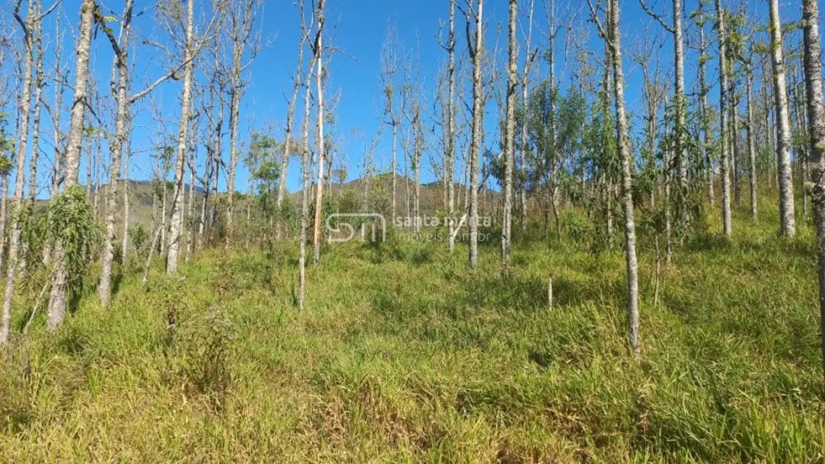 Fazenda / Haras à venda, 280m2 em Bananal - SP - imagem 3 Foto 3 de Fazenda / Haras à venda, 280m2 em Bananal - SP