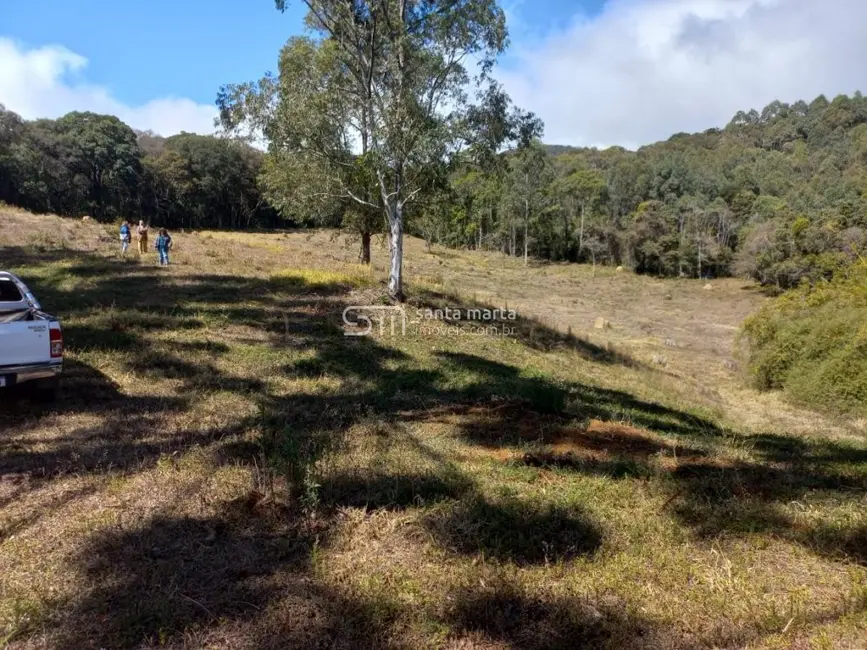 Fazenda / Haras à venda, 280m2 em Itamonte - MG - imagem 9 Foto 9 de Fazenda / Haras à venda, 280m2 em Itamonte - MG