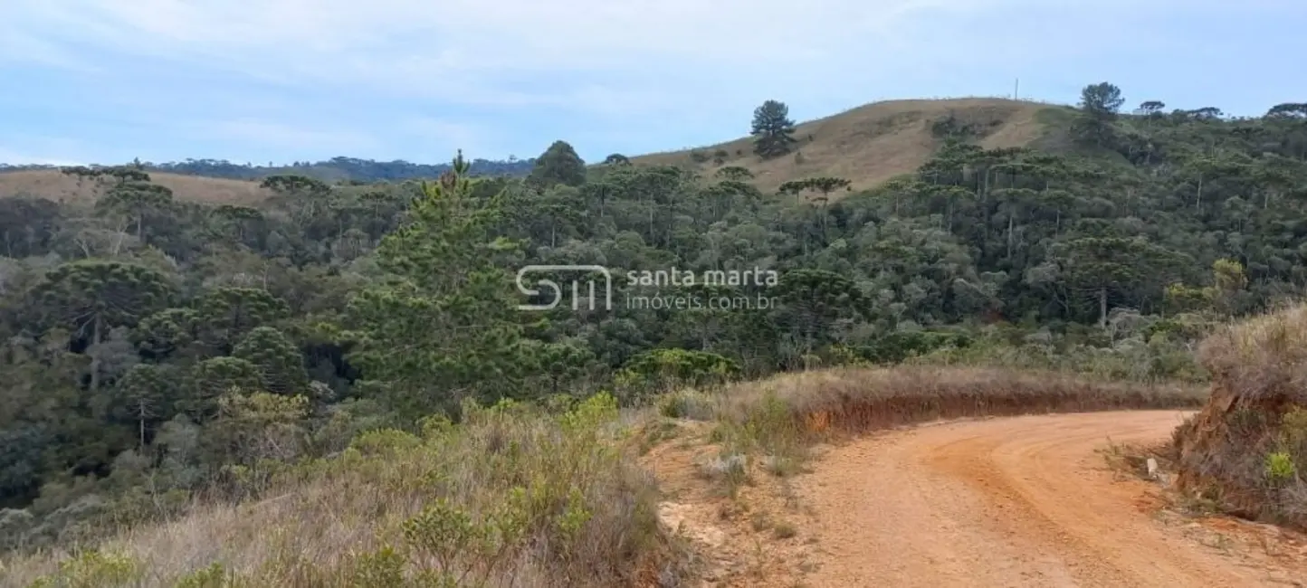 Foto 8 de Fazenda / Haras à venda, 280m2 em Delfim Moreira - MG