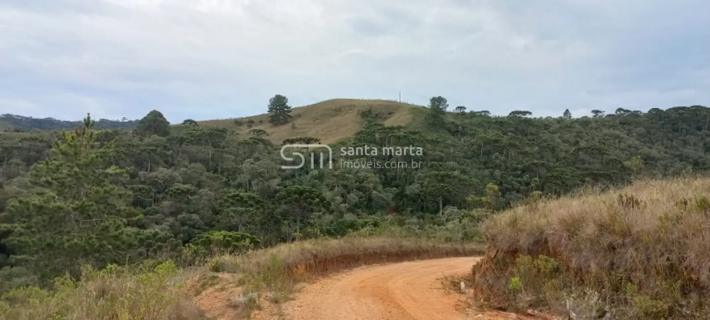 Foto 6 de Fazenda / Haras à venda, 280m2 em Delfim Moreira - MG