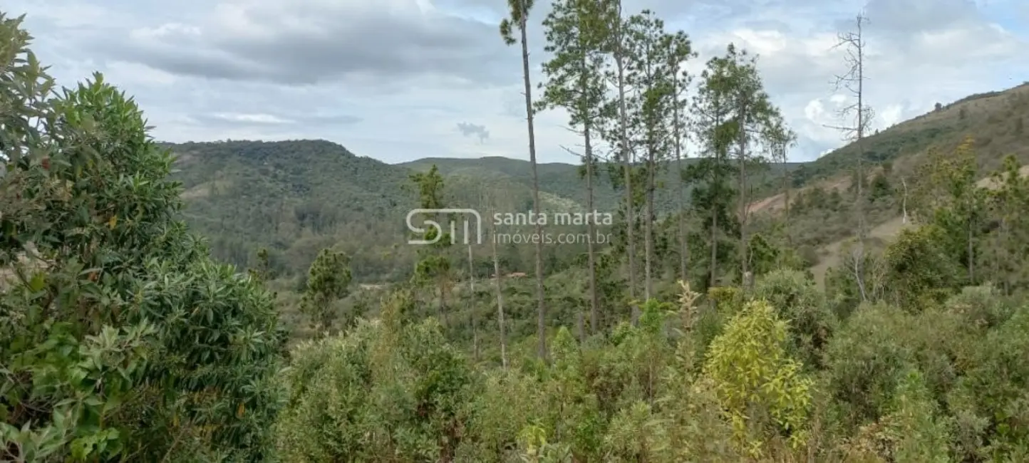 Foto 3 de Fazenda / Haras à venda, 280m2 em Delfim Moreira - MG