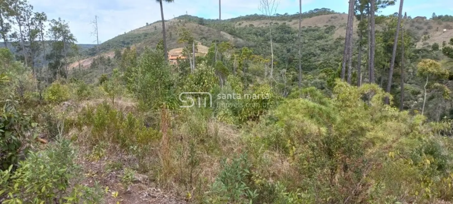 Foto 4 de Fazenda / Haras à venda, 280m2 em Delfim Moreira - MG