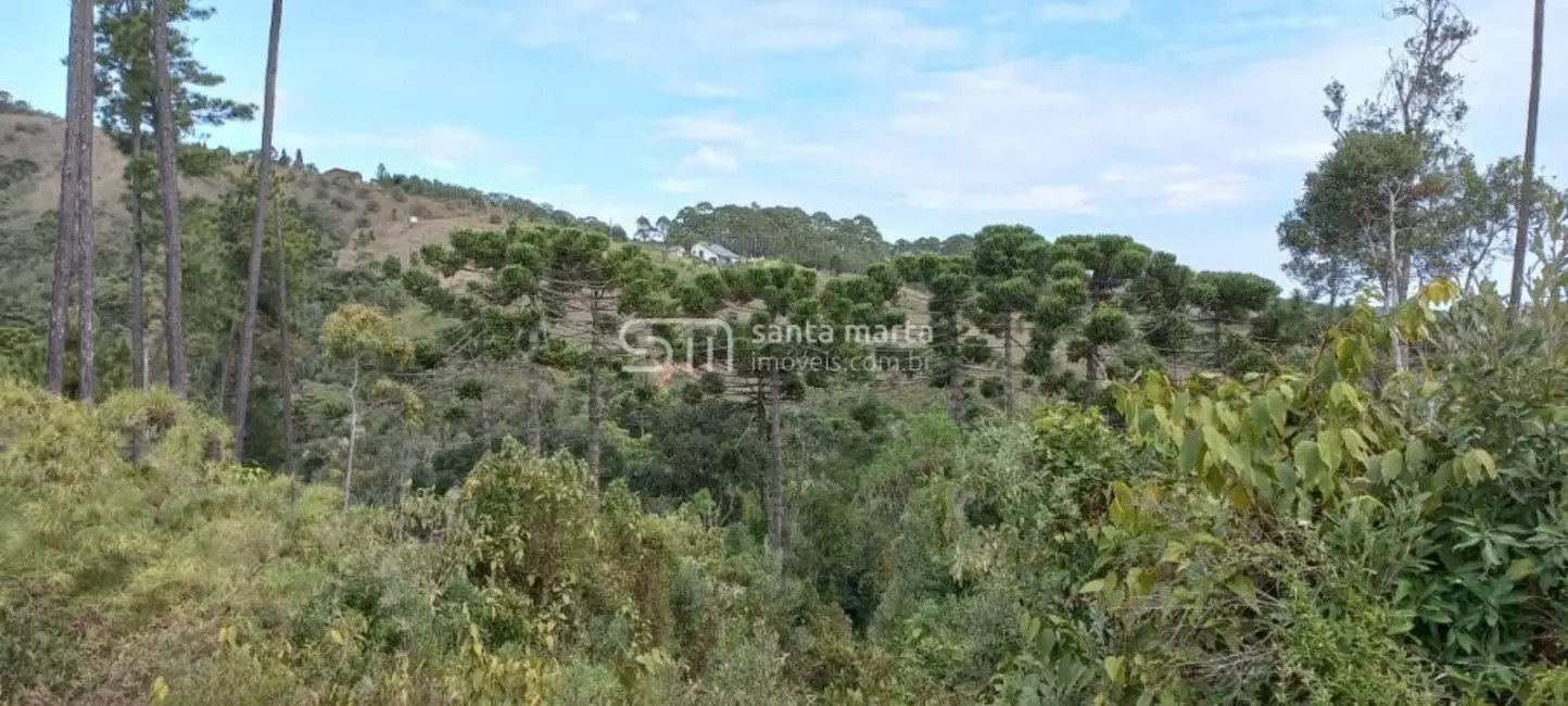 Foto 5 de Fazenda / Haras à venda, 280m2 em Delfim Moreira - MG