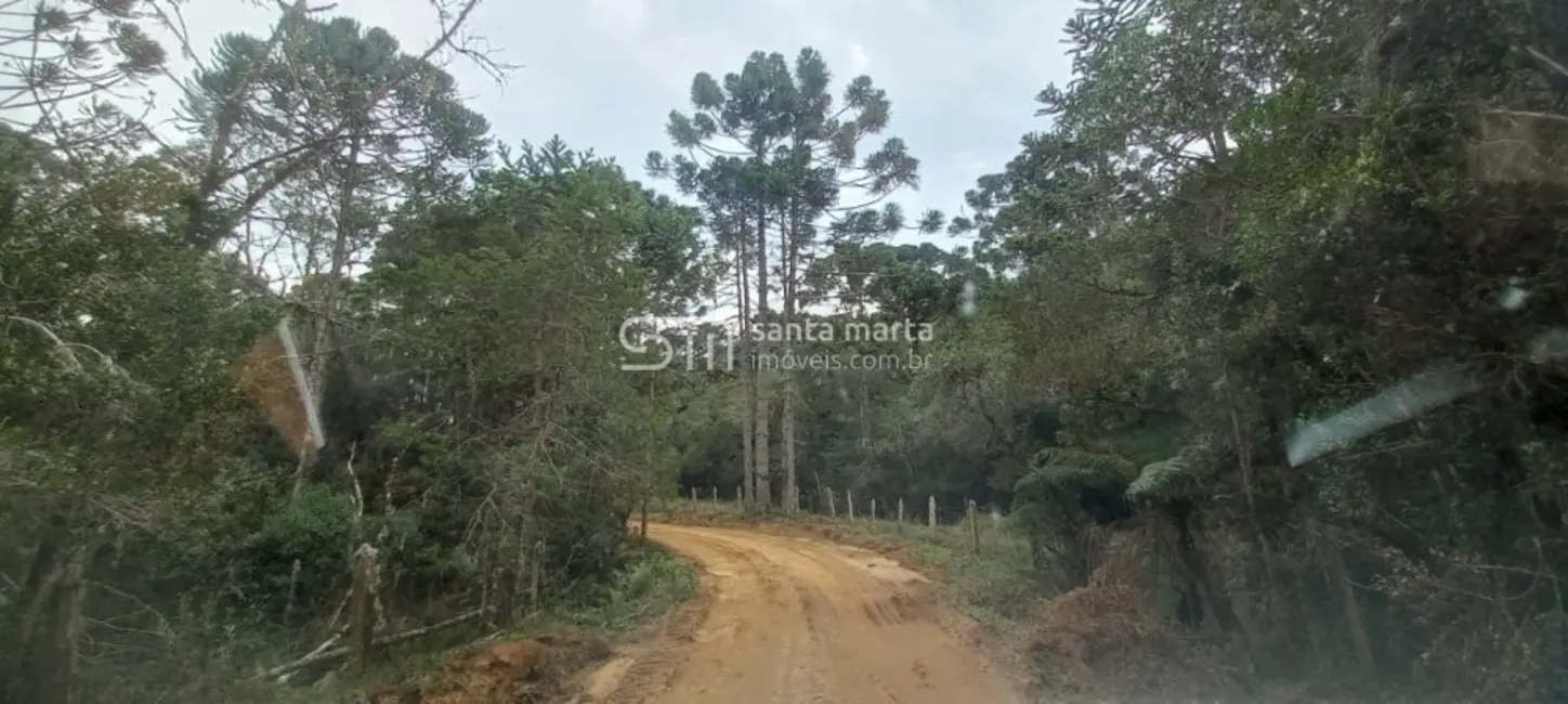 Foto 3 de Fazenda / Haras com 2 quartos à venda, 280m2 em Delfim Moreira - MG