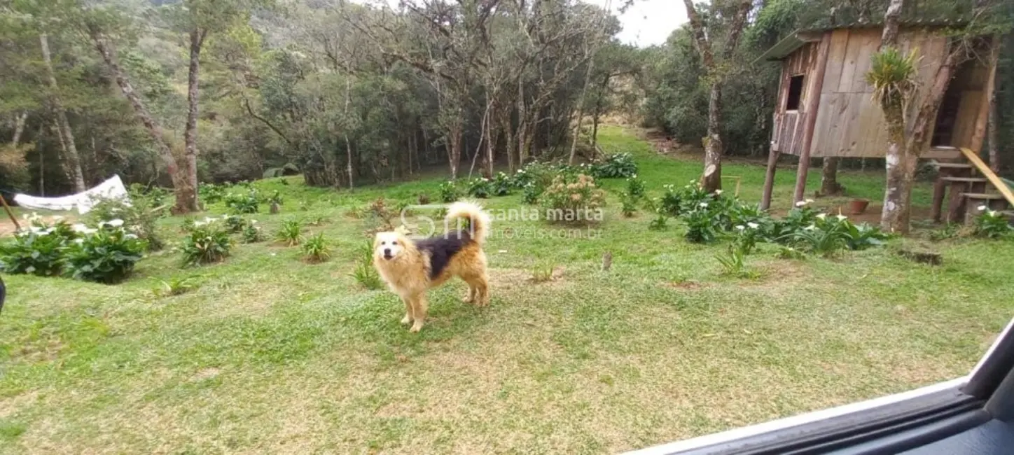 Foto 7 de Fazenda / Haras com 2 quartos à venda, 280m2 em Delfim Moreira - MG