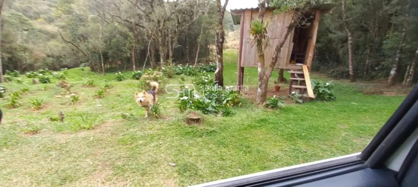 Foto 6 de Fazenda / Haras com 2 quartos à venda, 280m2 em Delfim Moreira - MG