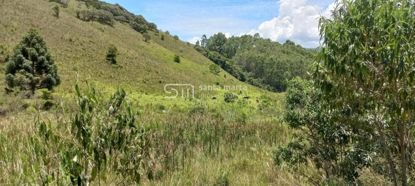 Fazenda / Haras com 2 quartos à venda, 17m2 em Silveiras - SP - imagem 9 Foto 9 de Fazenda / Haras com 2 quartos à venda, 17m2 em Silveiras - SP