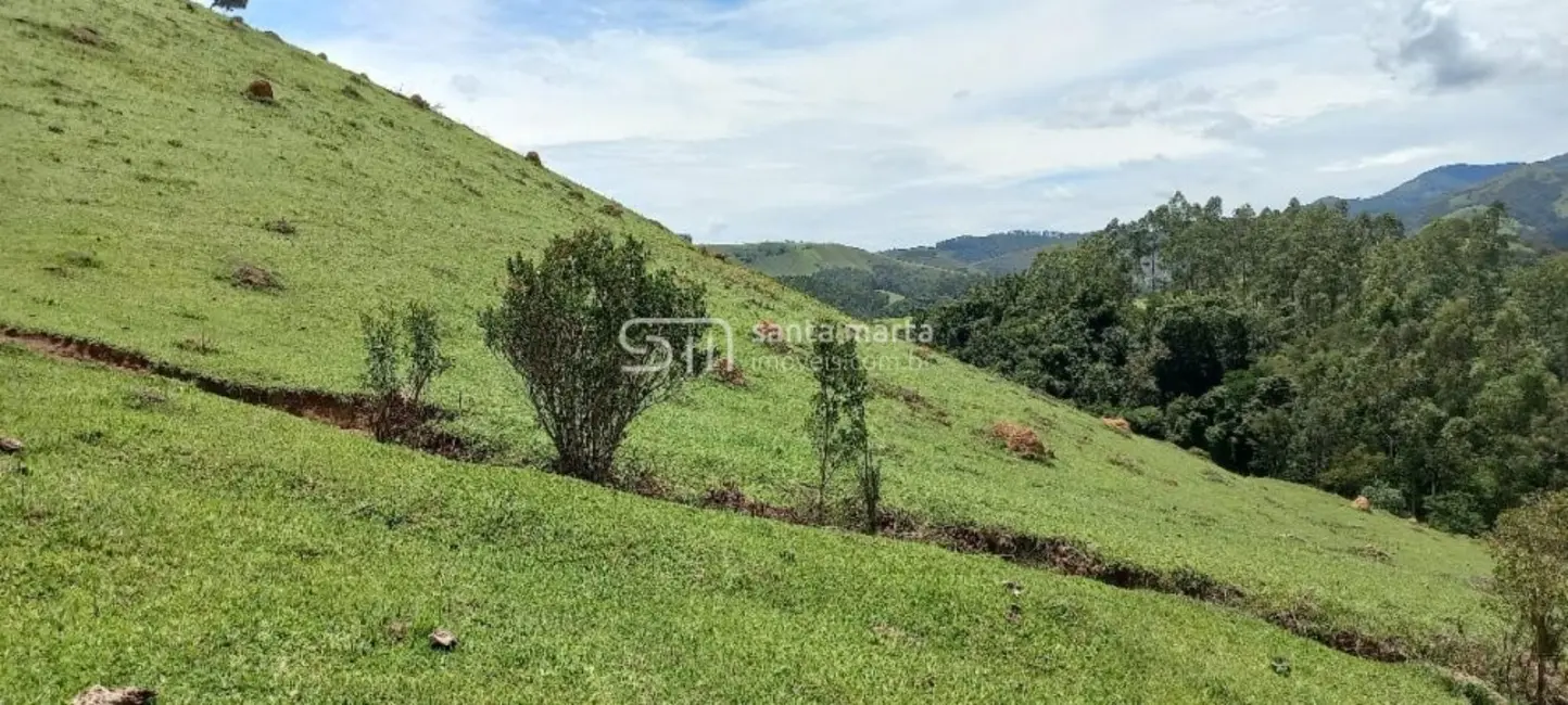 Foto 2 de Fazenda / Haras à venda, 280m2 em Cunha - SP