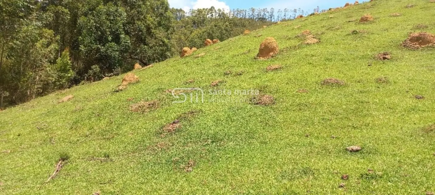 Foto 4 de Fazenda / Haras à venda, 280m2 em Cunha - SP