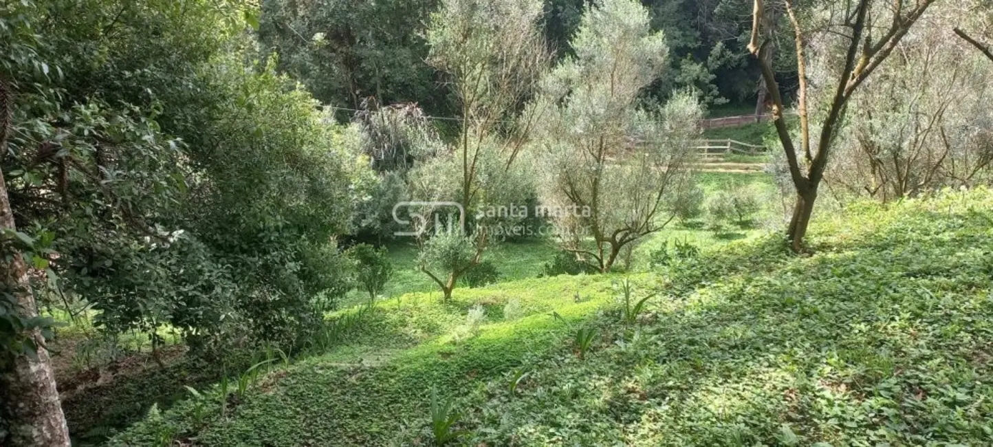 Foto 3 de Fazenda / Haras com 3 quartos à venda, 160m2 em Delfim Moreira - MG