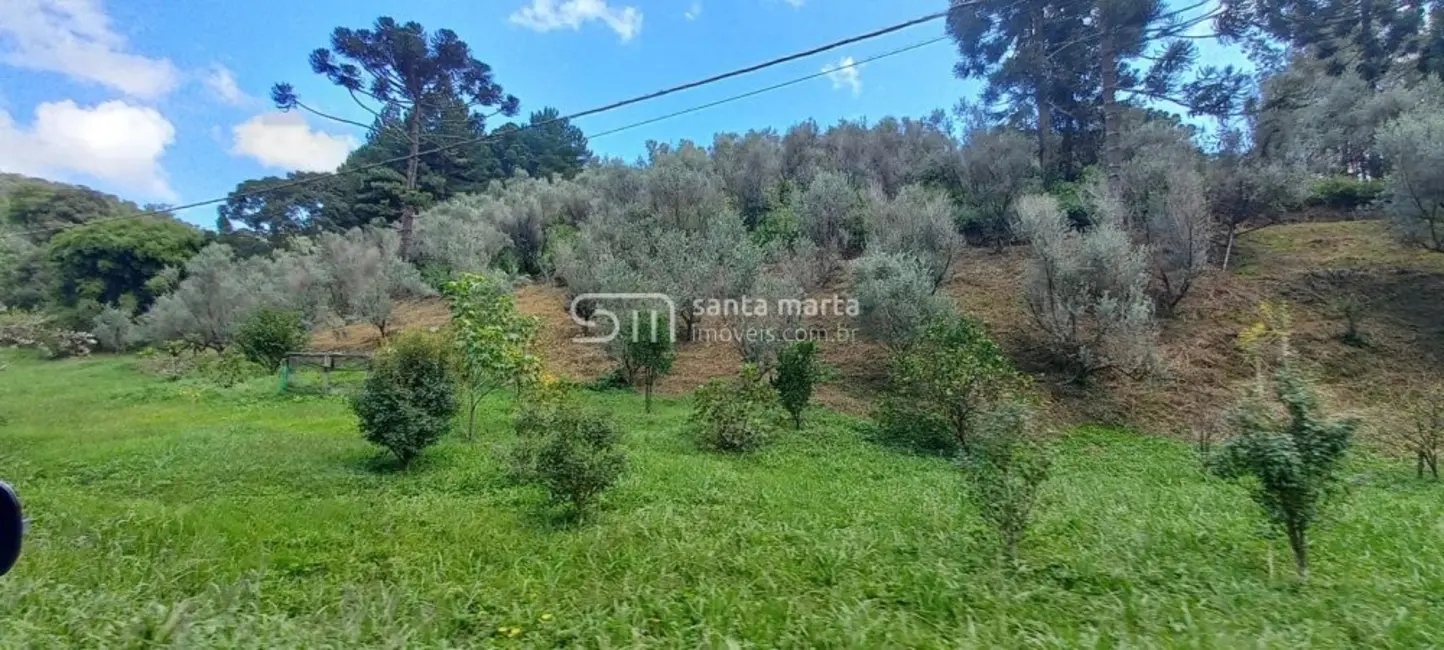 Foto 4 de Fazenda / Haras com 3 quartos à venda, 160m2 em Delfim Moreira - MG