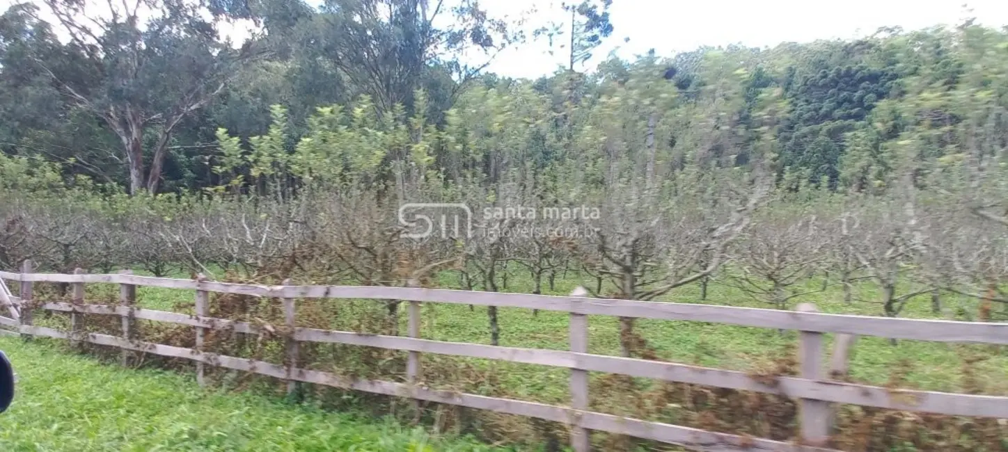 Foto 9 de Fazenda / Haras com 3 quartos à venda, 160m2 em Delfim Moreira - MG