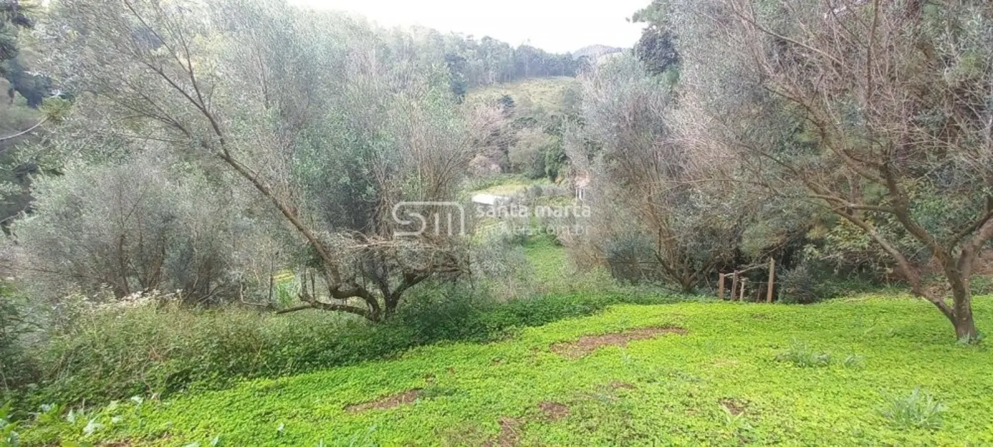 Foto 5 de Fazenda / Haras com 3 quartos à venda, 160m2 em Delfim Moreira - MG