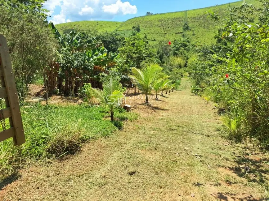 Foto 2 de Fazenda / Haras à venda, 280m2 em Lorena - SP