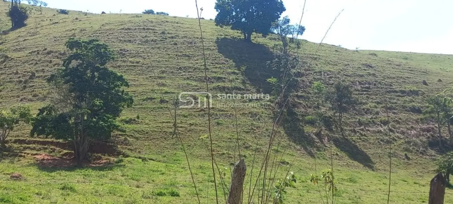 Foto 6 de Fazenda / Haras à venda, 160m2 em Santa Lucrécia, Lorena - SP