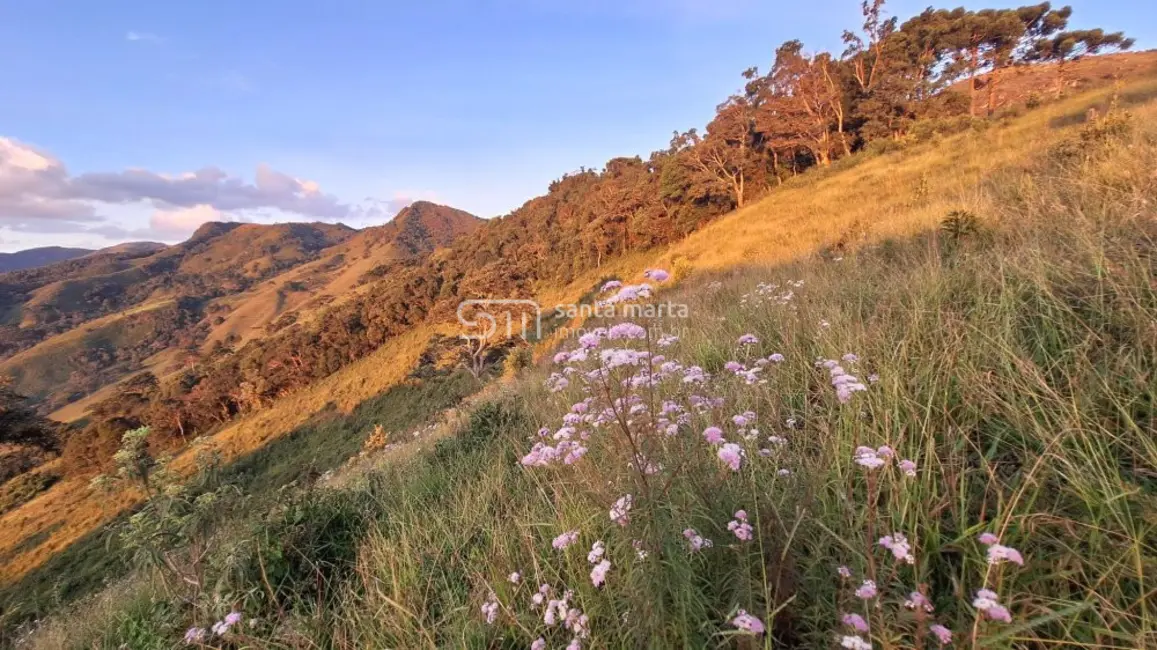 Foto 5 de Fazenda / Haras à venda, 72m2 em Silveiras - SP