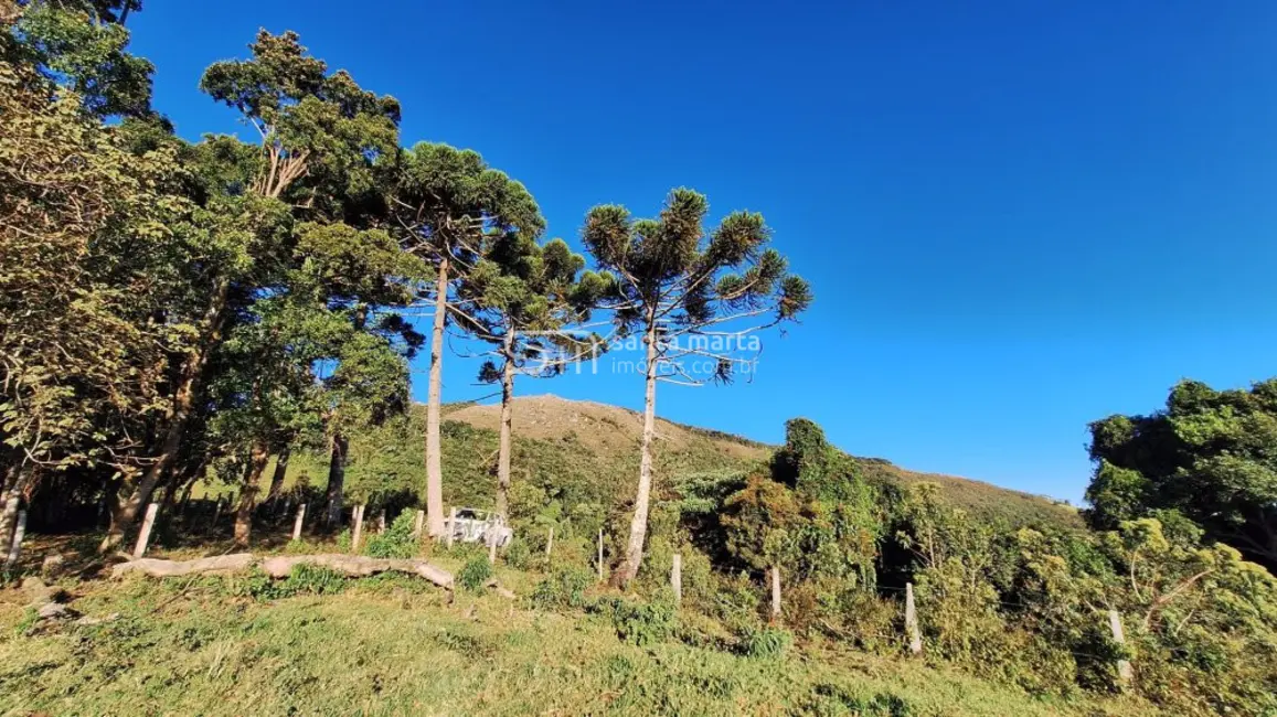 Foto 7 de Fazenda / Haras à venda, 72m2 em Silveiras - SP