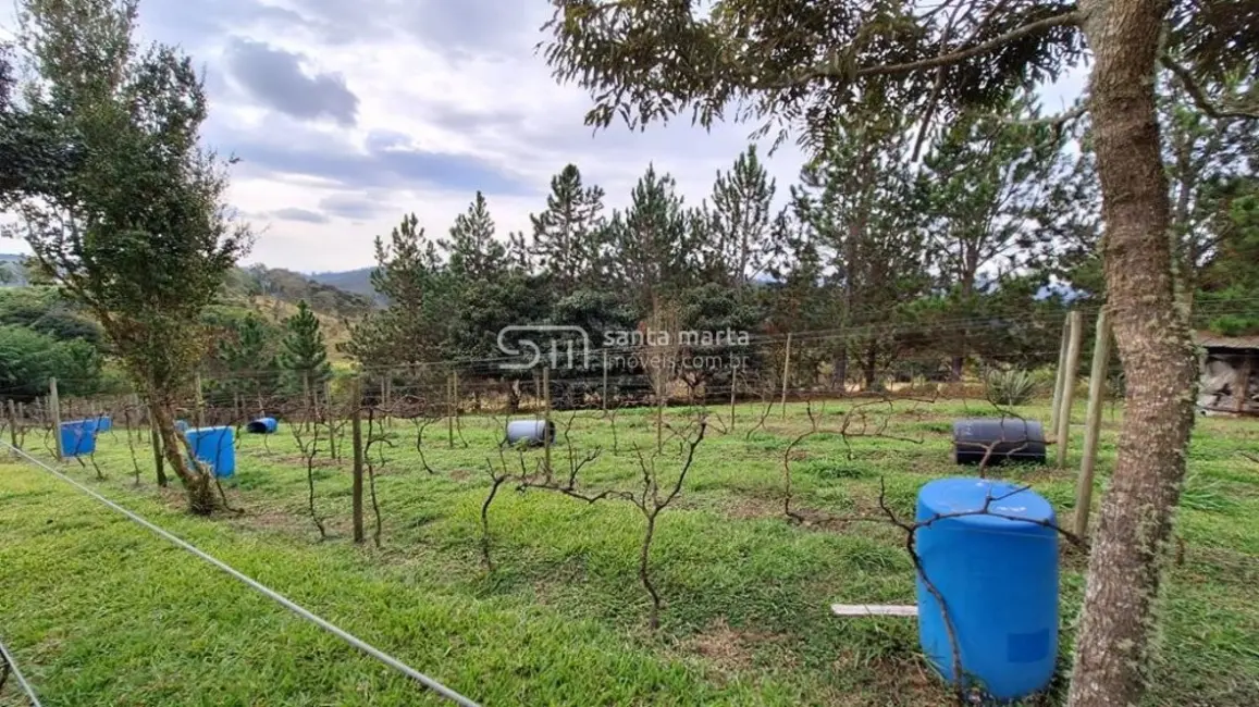 Foto 4 de Fazenda / Haras à venda, 29m2 em Cunha - SP