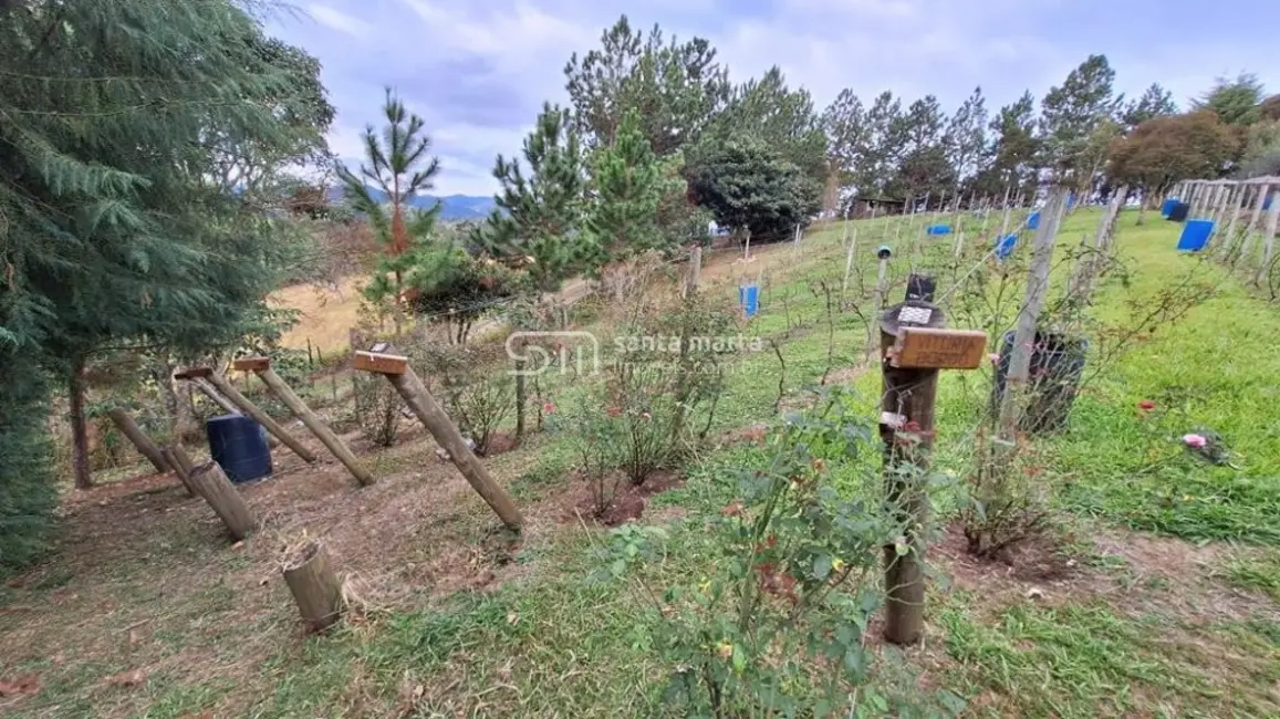 Foto 5 de Fazenda / Haras à venda, 29m2 em Cunha - SP