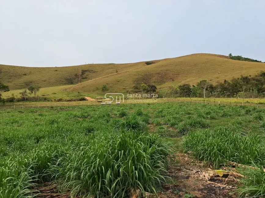 Foto 7 de Fazenda / Haras com 3 quartos à venda, 86m2 em Silveiras - SP