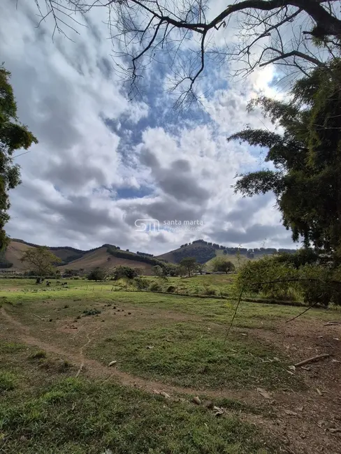 Foto 11 de Fazenda / Haras à venda em Bananal - SP