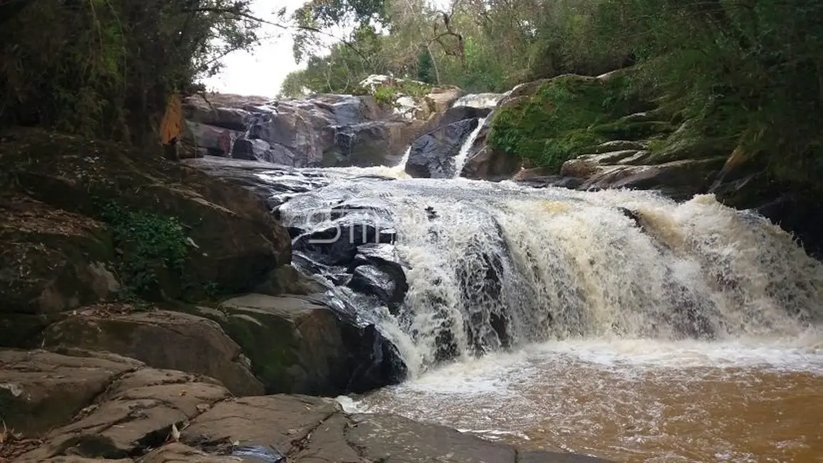 Foto 2 de Fazenda / Haras à venda, 123m2 em Silveiras - SP