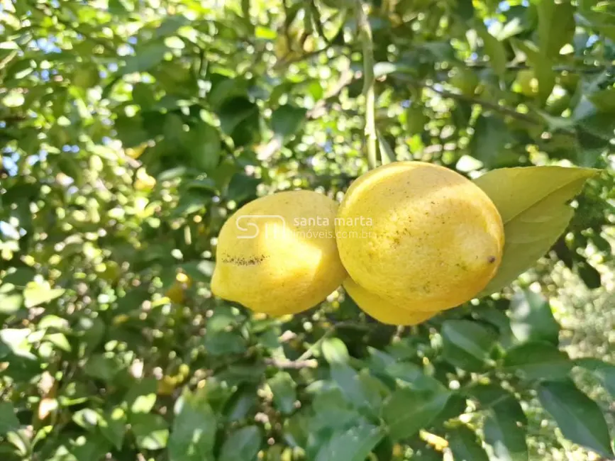 Foto 4 de Fazenda / Haras à venda, 123m2 em Itajuba - MG