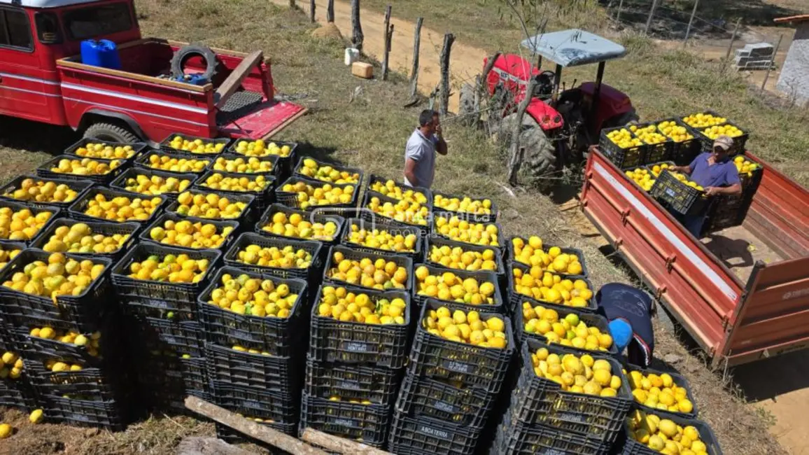 Foto 6 de Fazenda / Haras à venda, 123m2 em Itajuba - MG