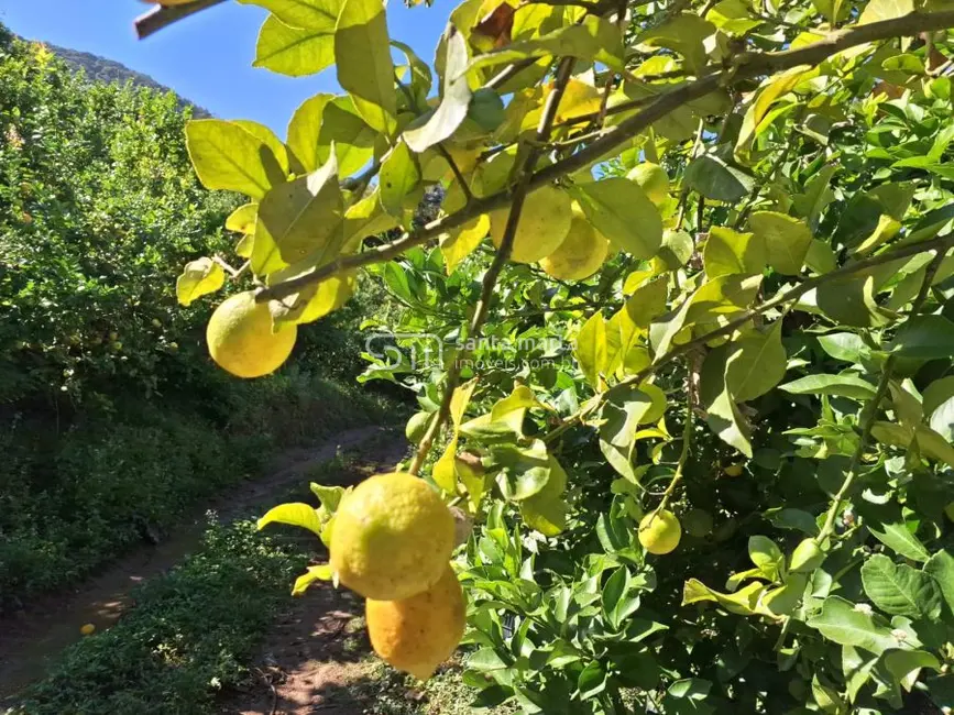 Foto 3 de Fazenda / Haras à venda, 123m2 em Itajuba - MG