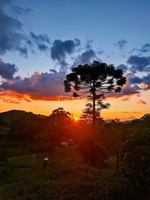 Foto 8 de Fazenda / Haras à venda, 123m2 em Delfim Moreira - MG