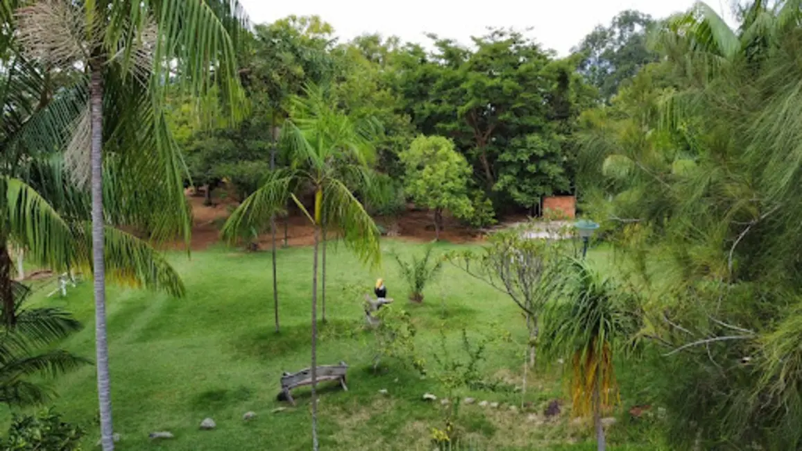 Chácara com 3 quartos à venda, 48000m2 em Plano Diretor Sul, Palmas - TO - imagem 7 Foto 7 de Chácara com 3 quartos à venda, 48000m2 em Plano Diretor Sul, Palmas - TO