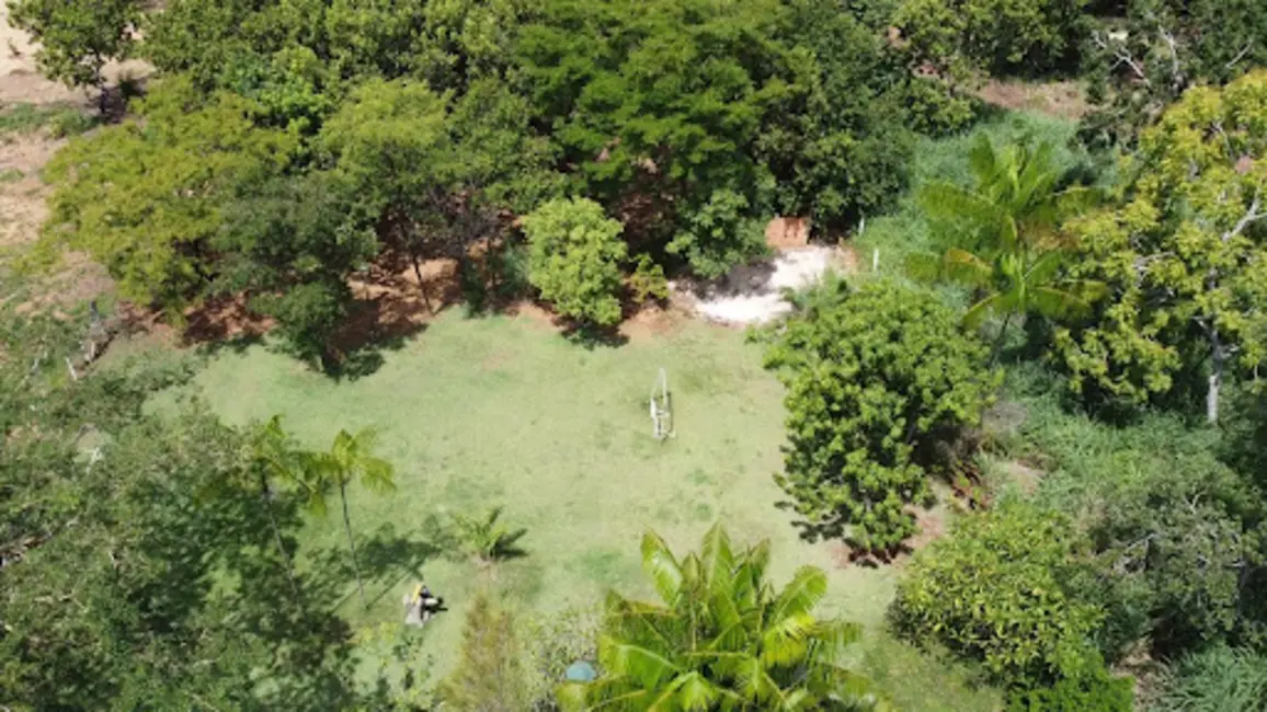 Chácara com 3 quartos à venda, 48000m2 em Plano Diretor Sul, Palmas - TO - imagem 3 Foto 3 de Chácara com 3 quartos à venda, 48000m2 em Plano Diretor Sul, Palmas - TO