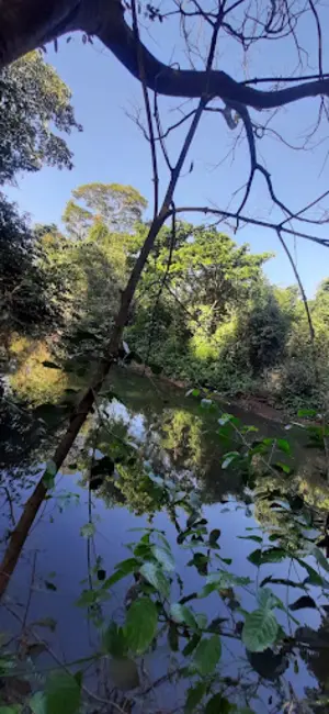 Foto 8 de Chácara com 2 quartos à venda e para alugar, 28000m2 em Palmas - TO