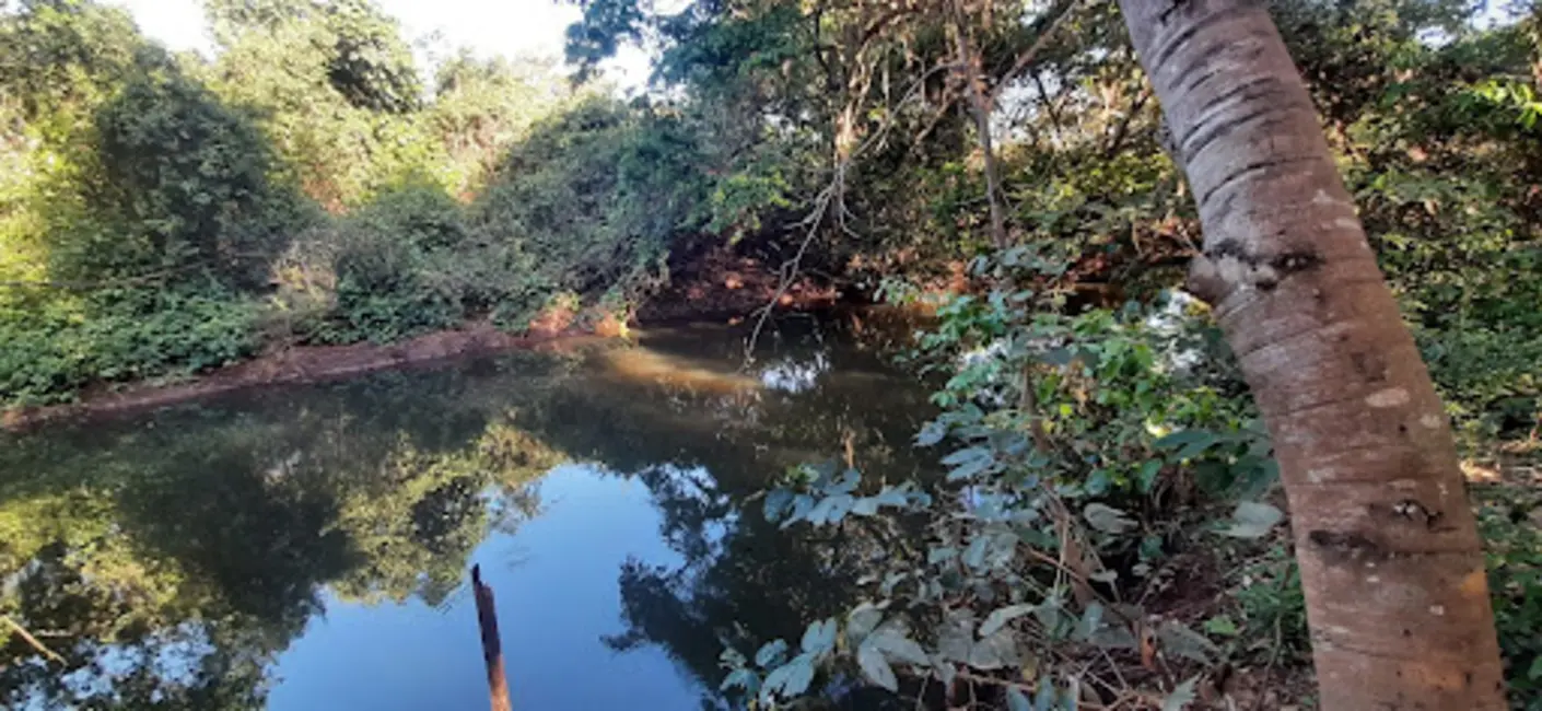 Foto 5 de Chácara com 2 quartos à venda e para alugar, 28000m2 em Palmas - TO