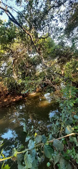 Foto 6 de Chácara com 2 quartos à venda e para alugar, 28000m2 em Palmas - TO