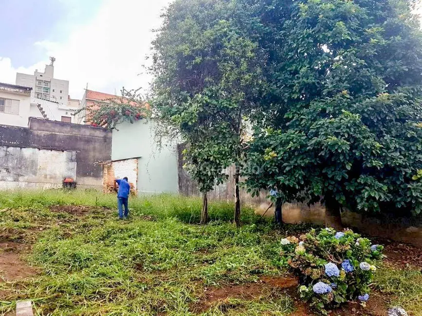 Foto 4 de Terreno / Lote à venda, 600m2 em Vila Paulicéia, São Paulo - SP