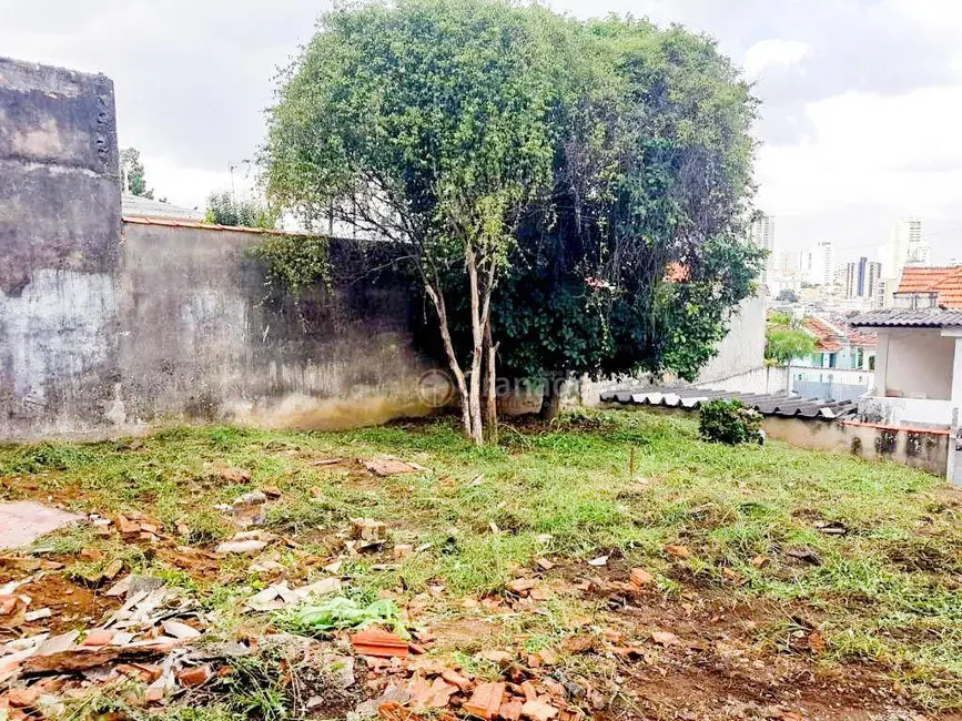 Foto 9 de Terreno / Lote à venda, 600m2 em Vila Paulicéia, São Paulo - SP