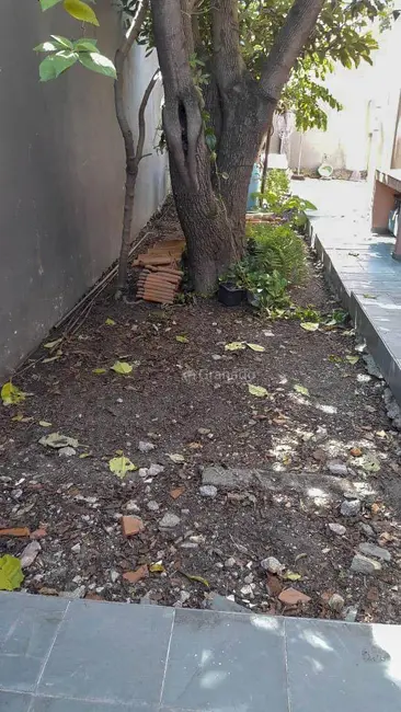 Sobrado com 4 quartos à venda, 269m2 em Vila Ede, São Paulo - SP - imagem 8 Foto 8 de Sobrado com 4 quartos à venda, 269m2 em Vila Ede, São Paulo - SP